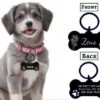 Personalised Dog Tags