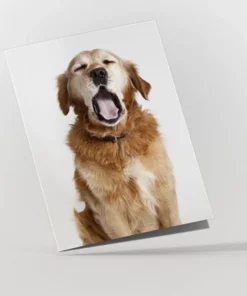 Matt Laminated Greeting Cards