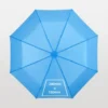 21.5-Inch Foldable Umbrellas