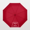 21-Inch Foldable Umbrellas